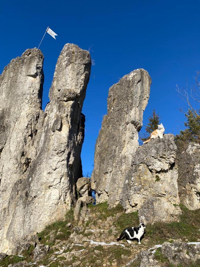 Апартаменты Gasthof Zur Saegemuehle Hiltpoltstein Экстерьер фото