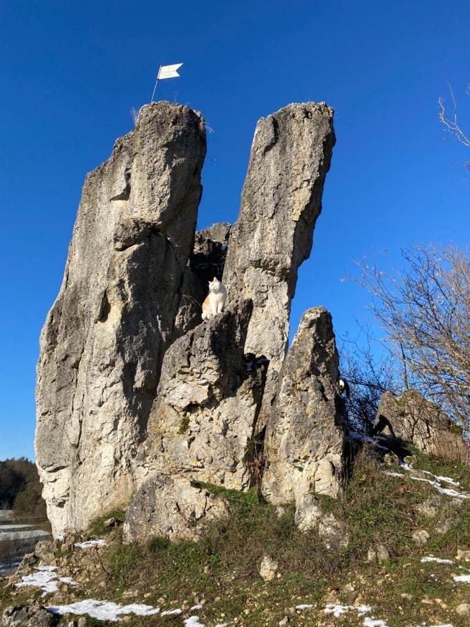 Апартаменты Gasthof Zur Saegemuehle Hiltpoltstein Экстерьер фото